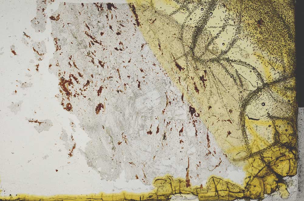 Plane Polarized, S32457