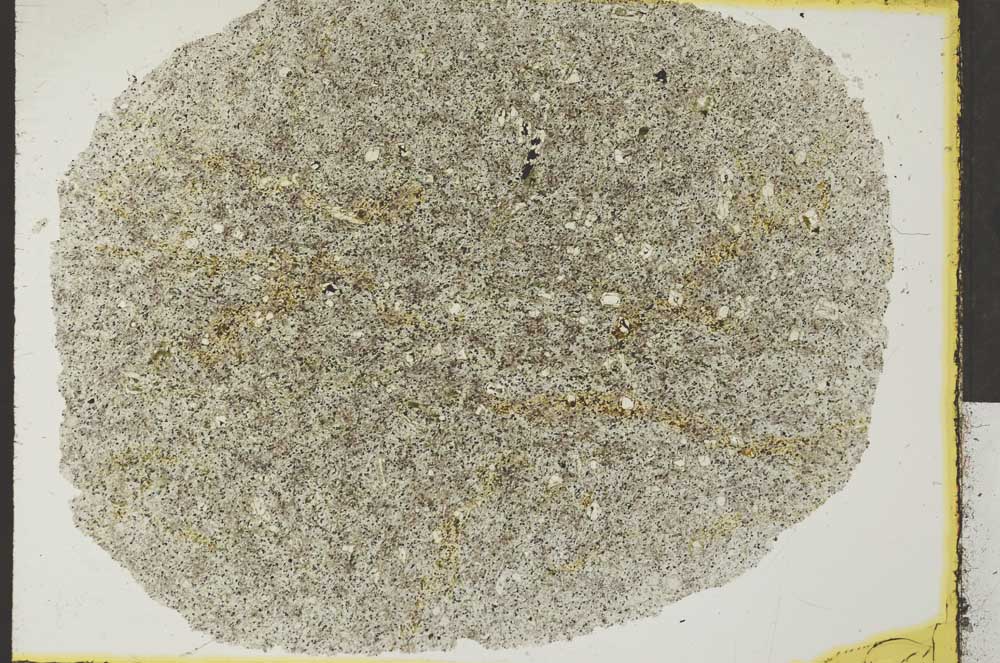 Plane Polarized, S32498