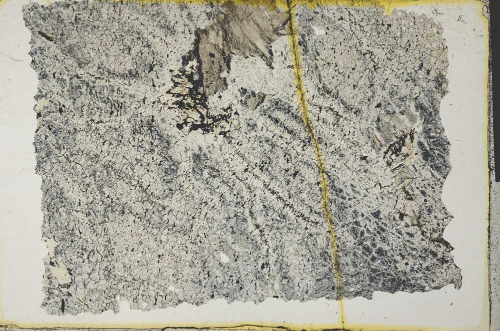Plane Polarized, S32539