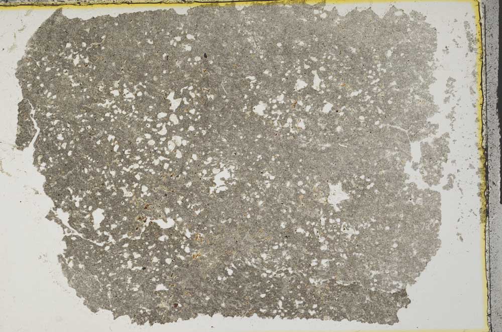 Plane Polarized, S32724