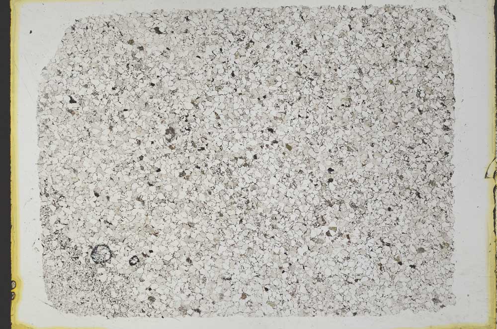 Plane Polarized, S32747