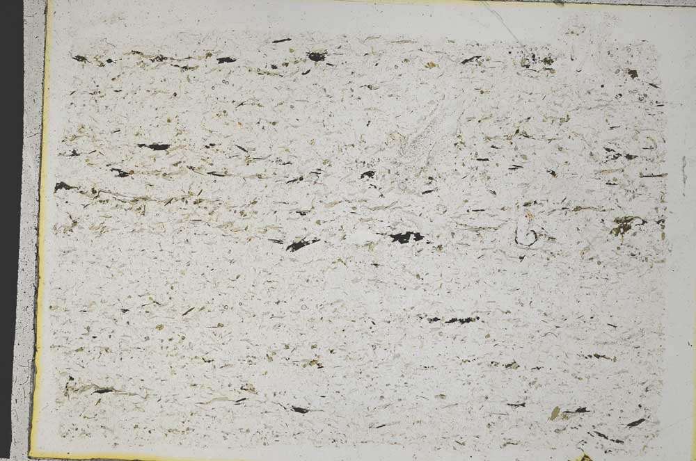 Plane Polarized, S32764
