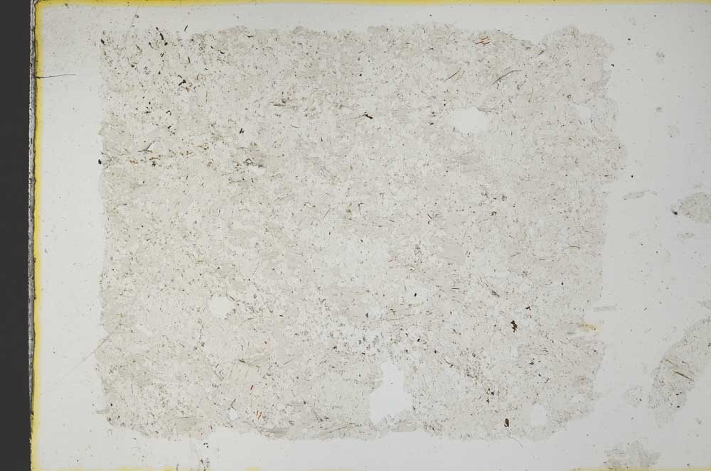 Plane Polarized, S32775