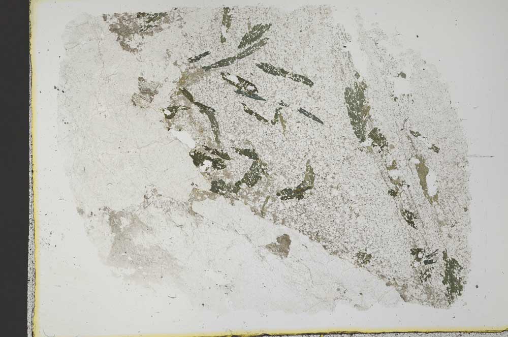 Plane Polarized, S32791
