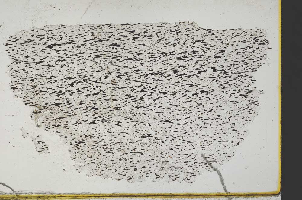 Plane Polarized, S32862/A