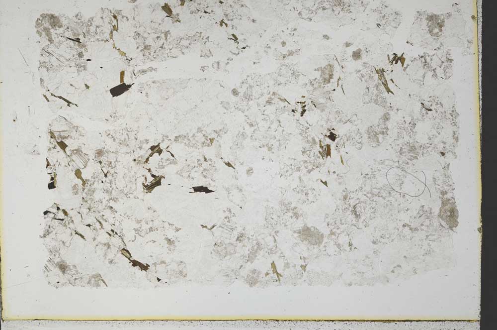 Plane Polarized, S32883