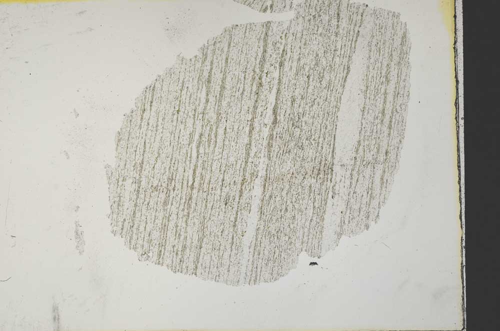 Plane Polarized, S32975
