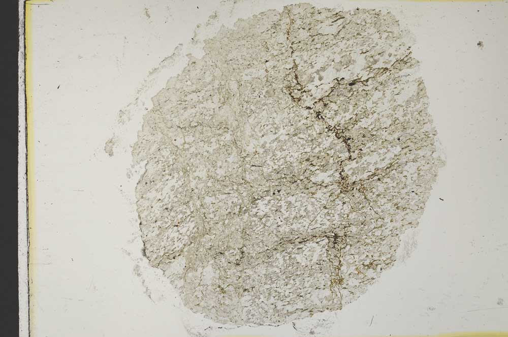 Plane Polarized, S32981