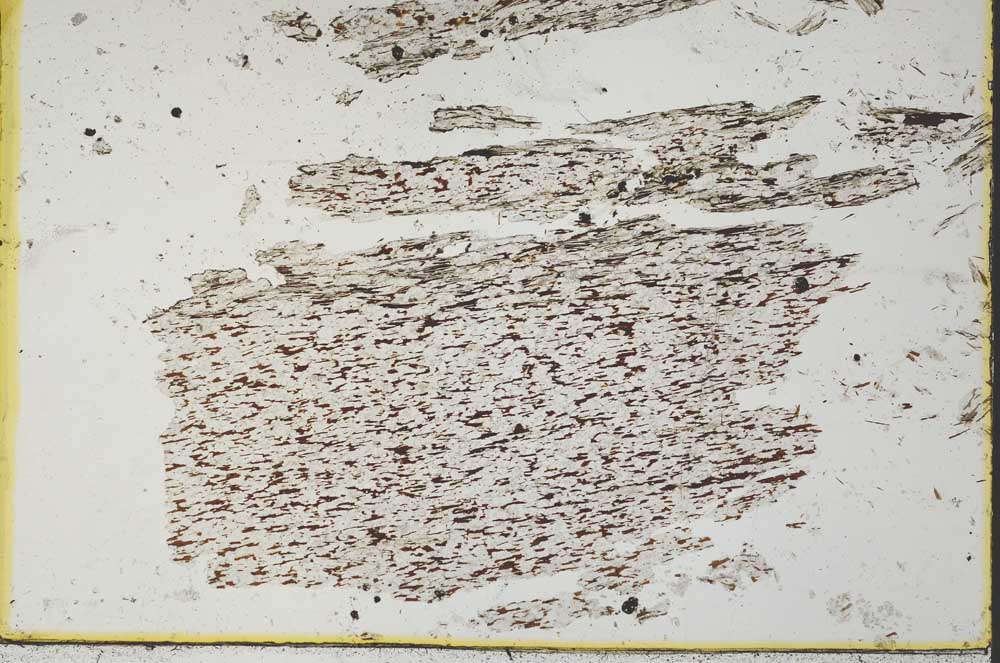 Plane Polarized, S32990
