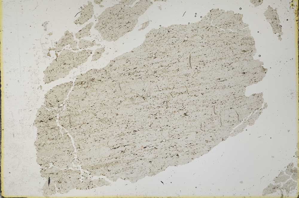 Plane Polarized, S32994