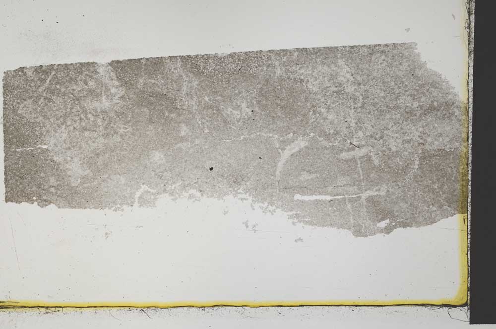 Plane Polarized, S33026