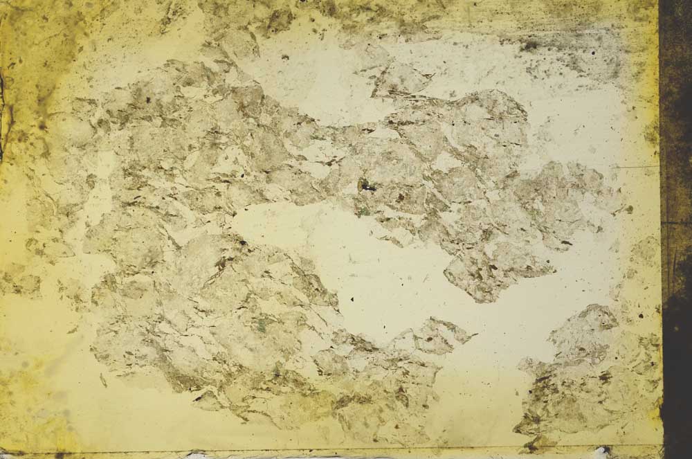 Plane Polarized, S33128