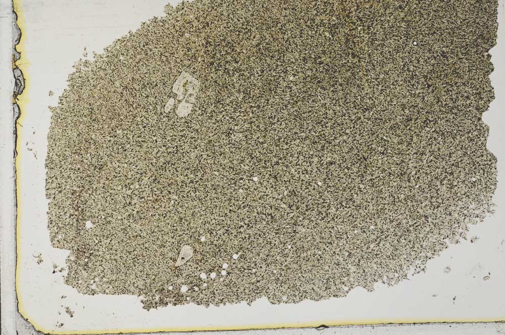 Plane Polarized, S33160