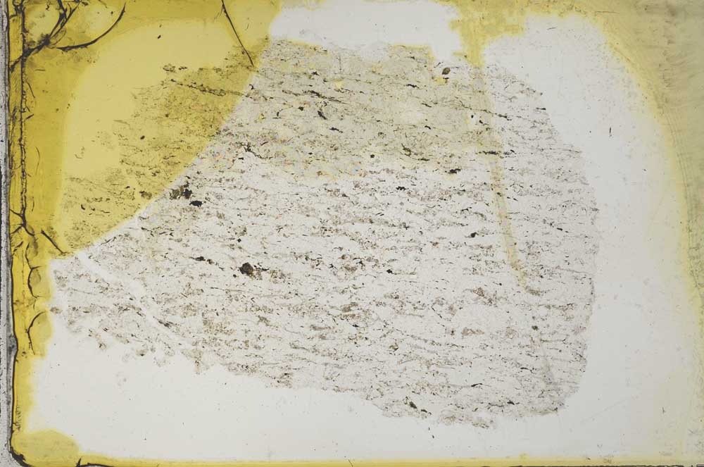 Plane Polarized, S33165