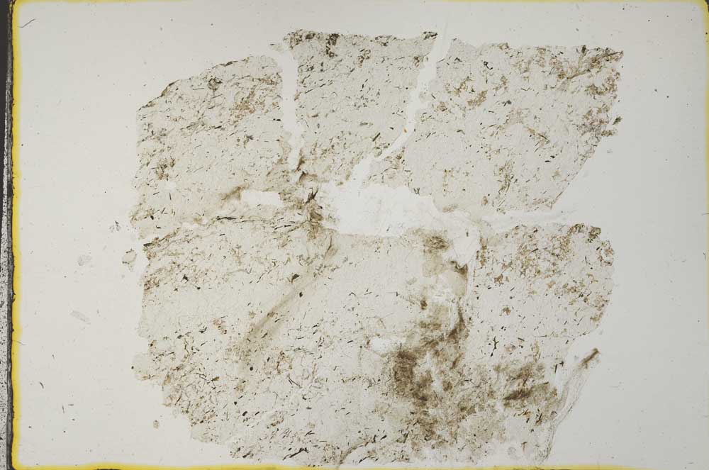 Plane Polarized, S33166