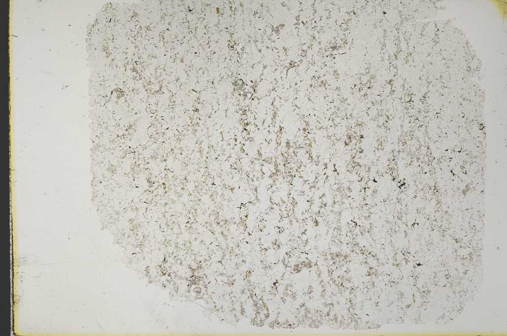 Plane Polarized, S33168