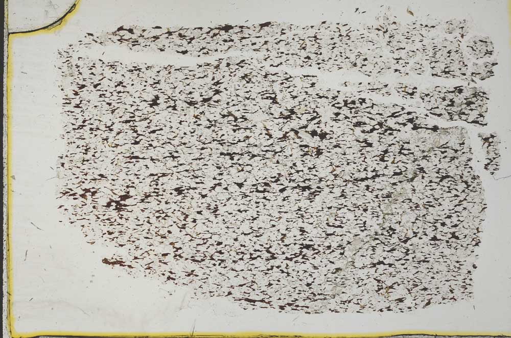 Plane Polarized, S33172