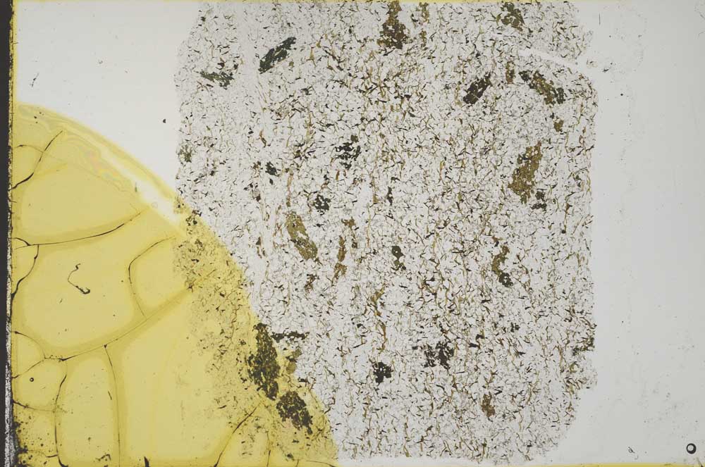 Plane Polarized, S33199
