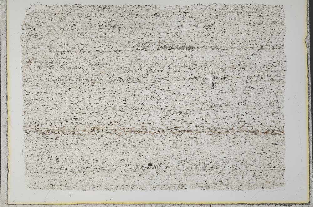 Plane Polarized, S33203