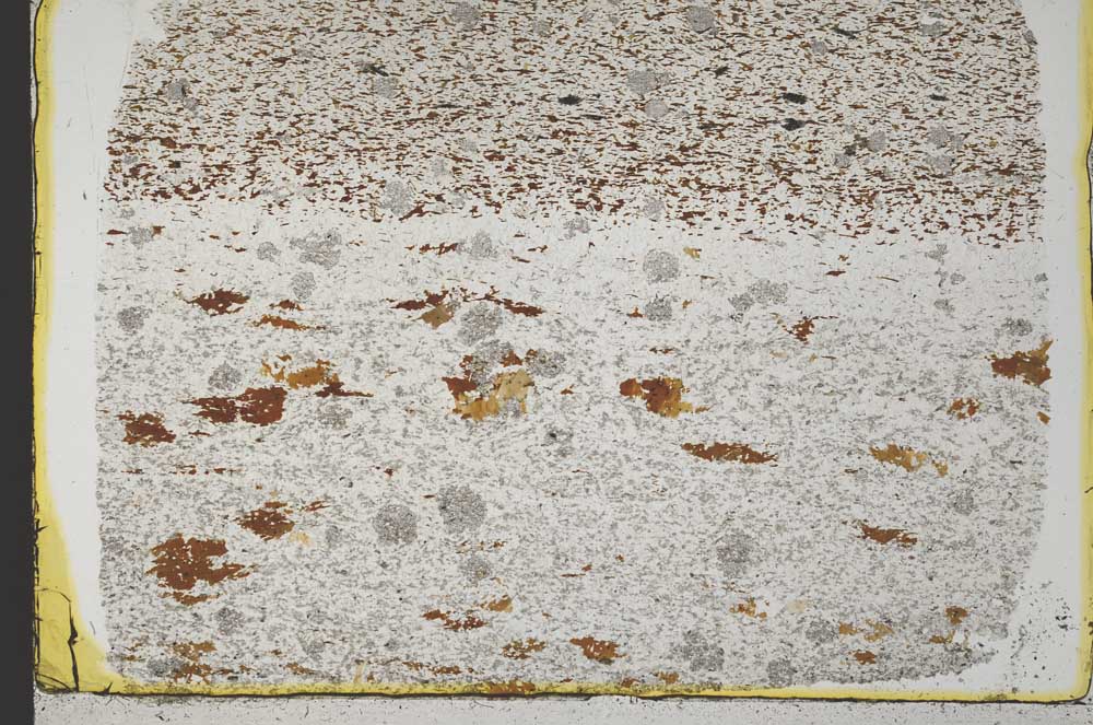 Plane Polarized, S33249
