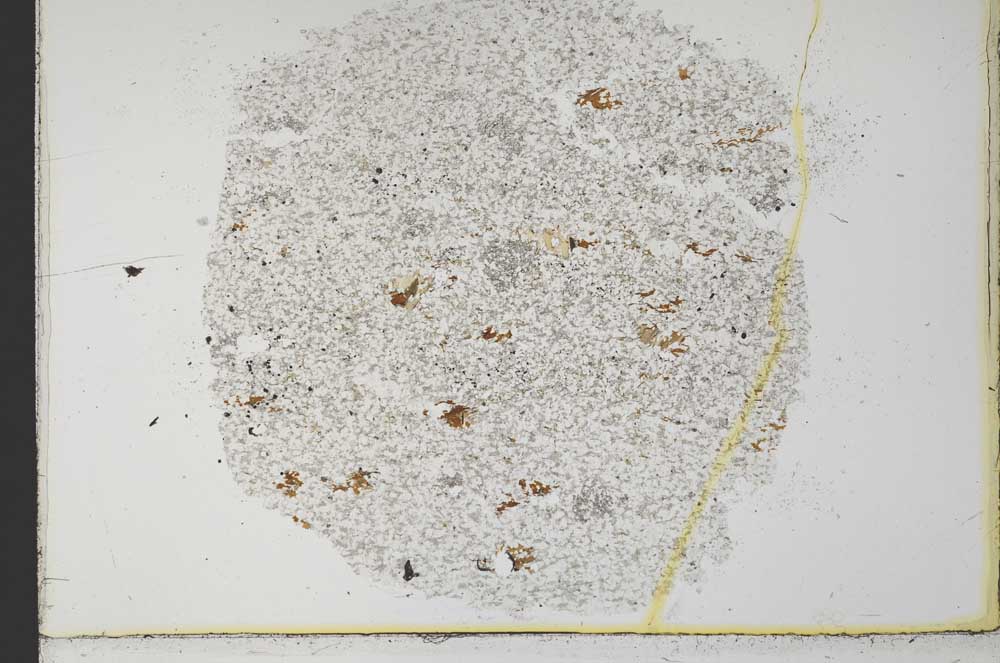 Plane Polarized, S33254