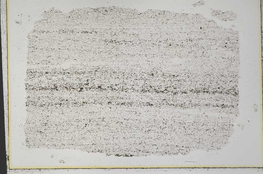 Plane Polarized, S33257