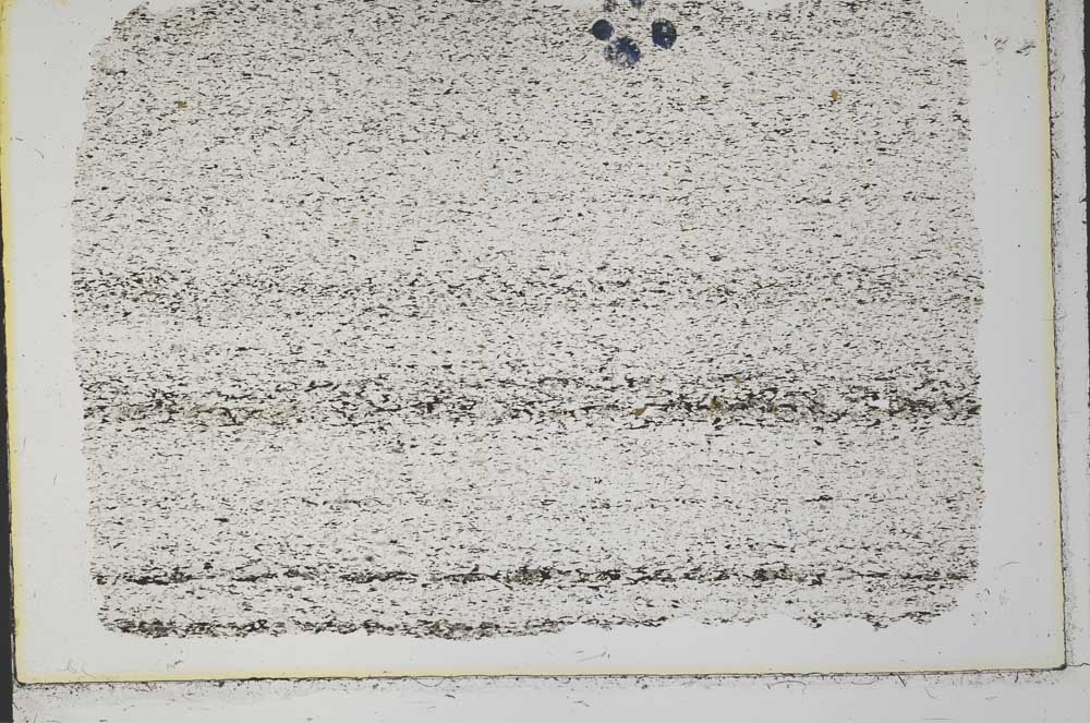 Plane Polarized, S33259