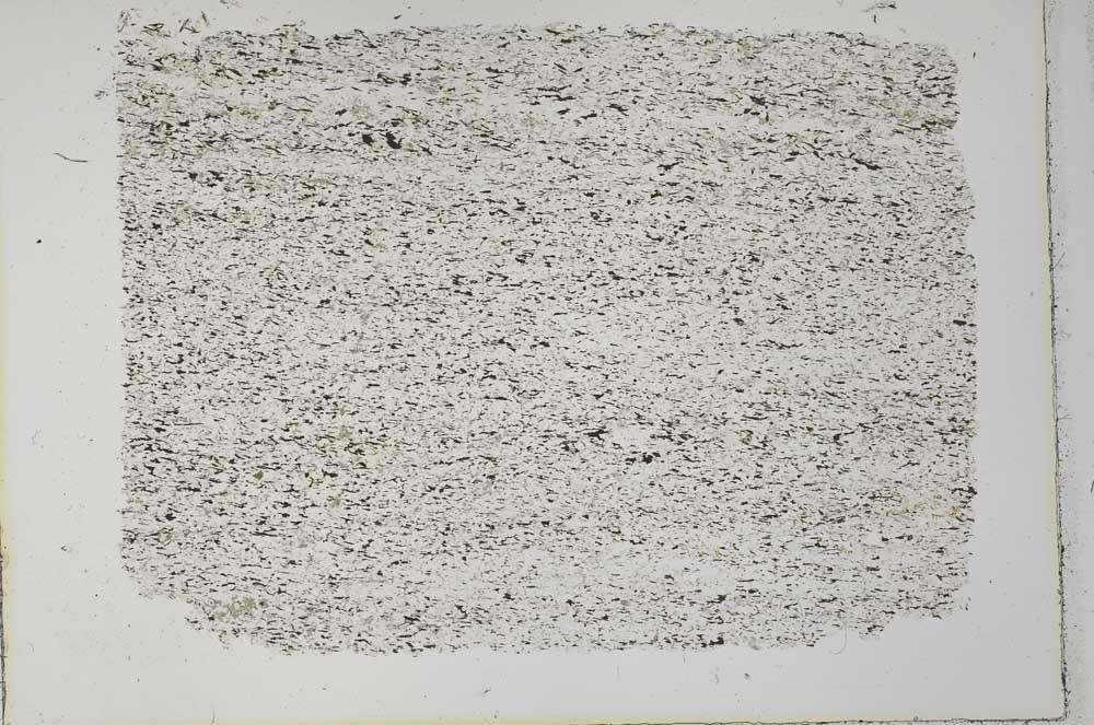 Plane Polarized, S33261