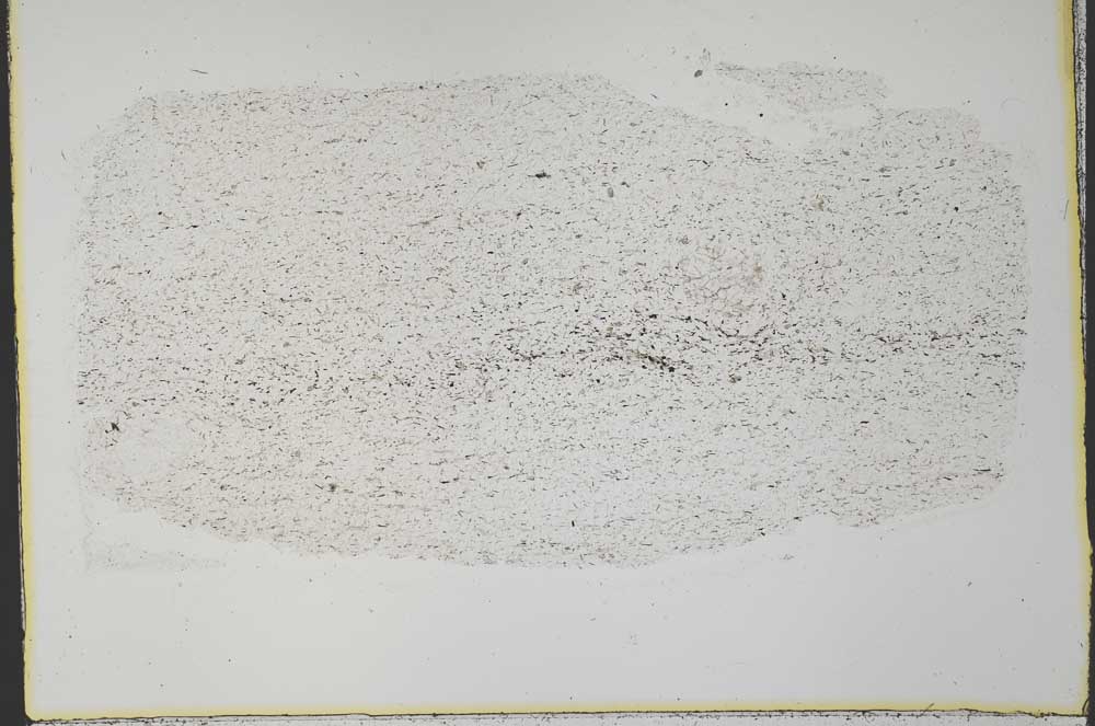 Plane Polarized, S33266