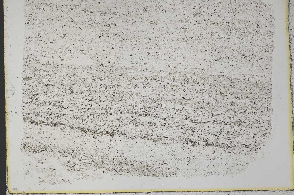 Plane Polarized, S33267