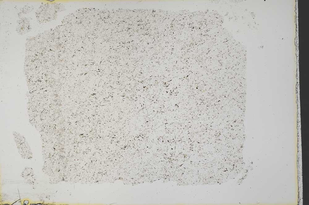 Plane Polarized, S33269