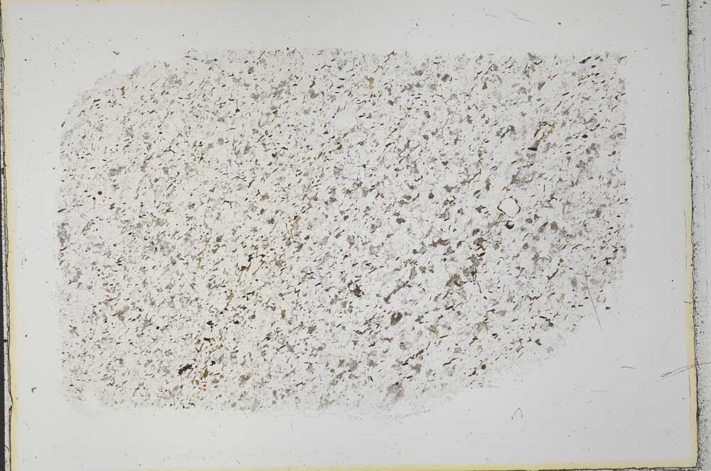 Plane Polarized, S33282