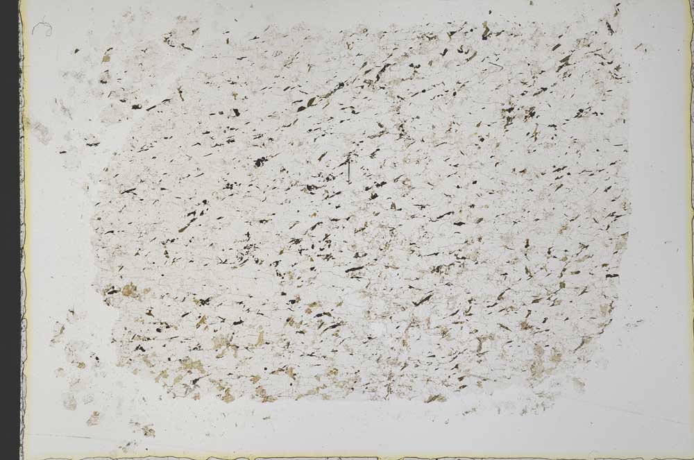 Plane Polarized, S33286