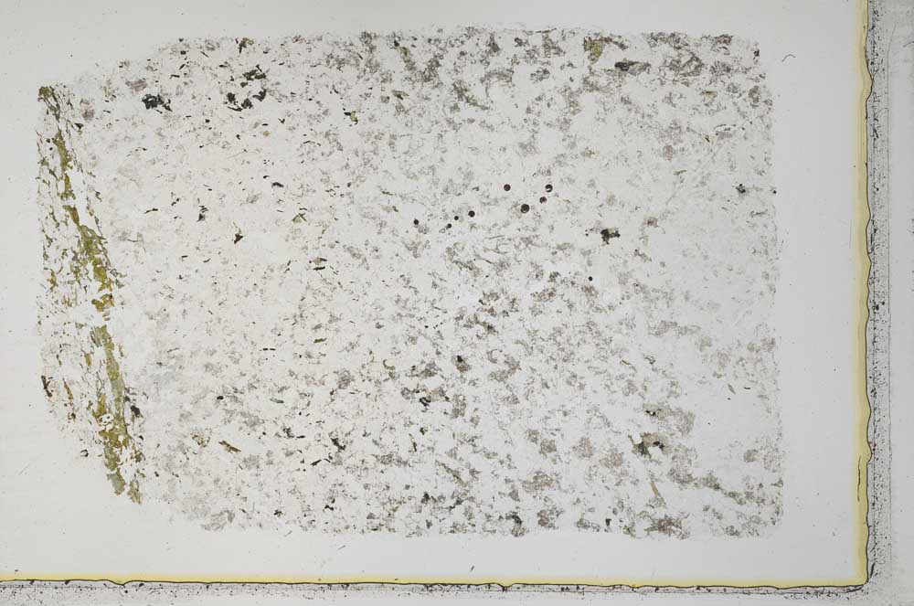 Plane Polarized, S33287