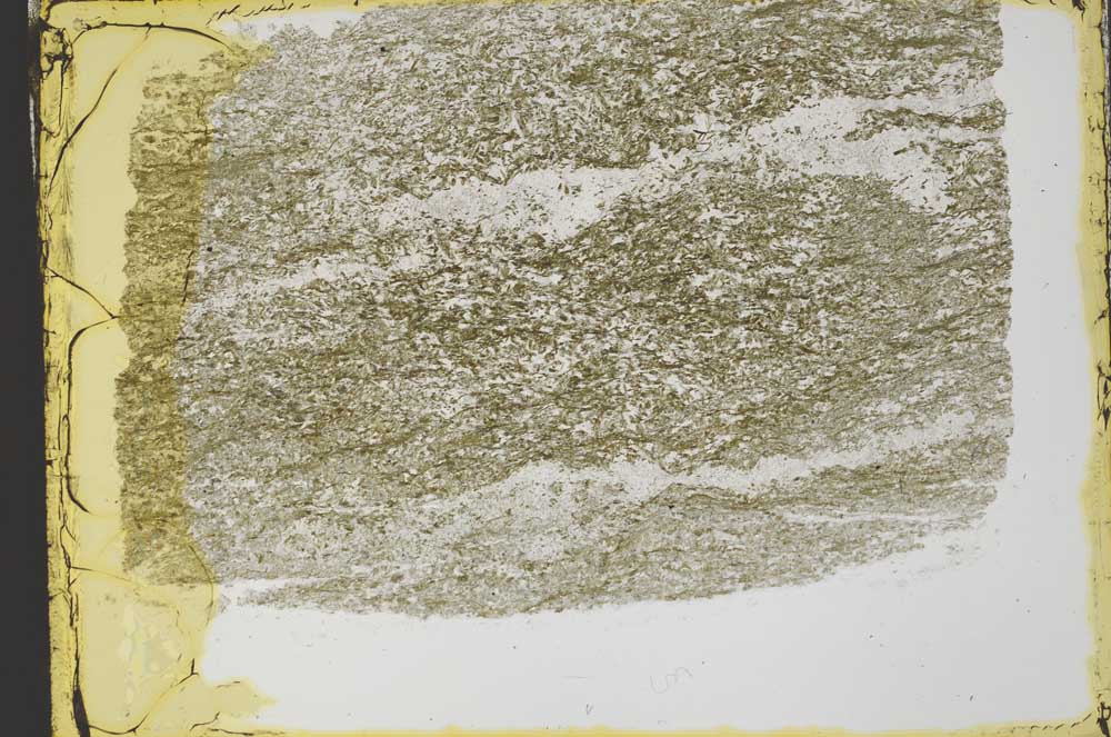Plane Polarized, S33309