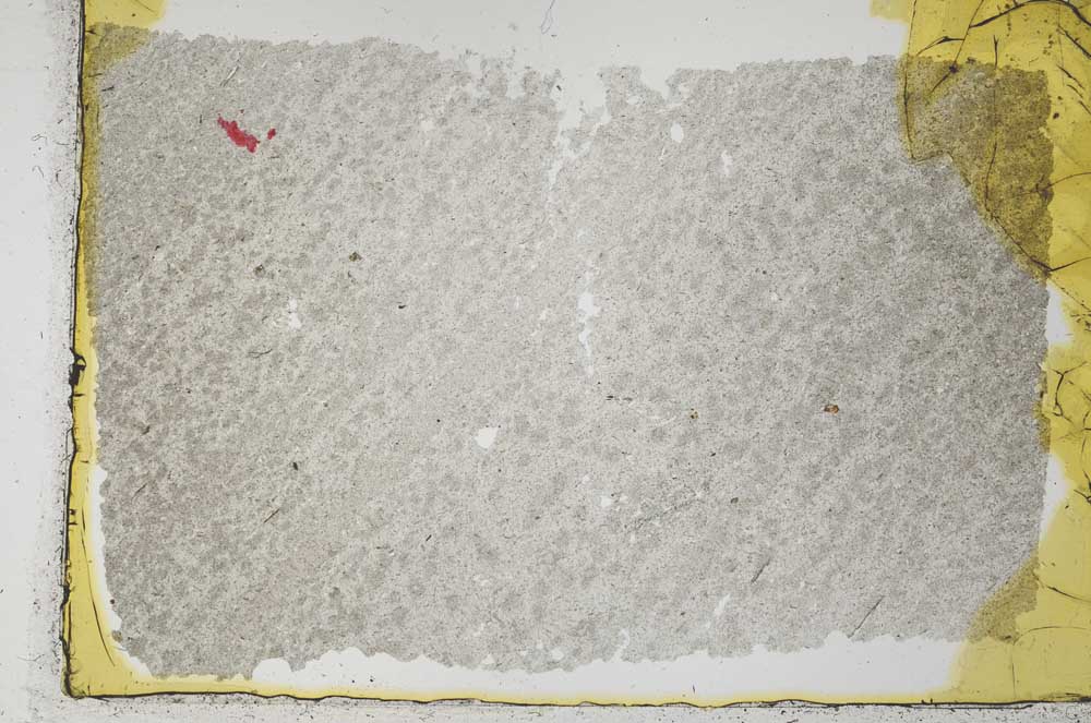 Plane Polarized, S33341