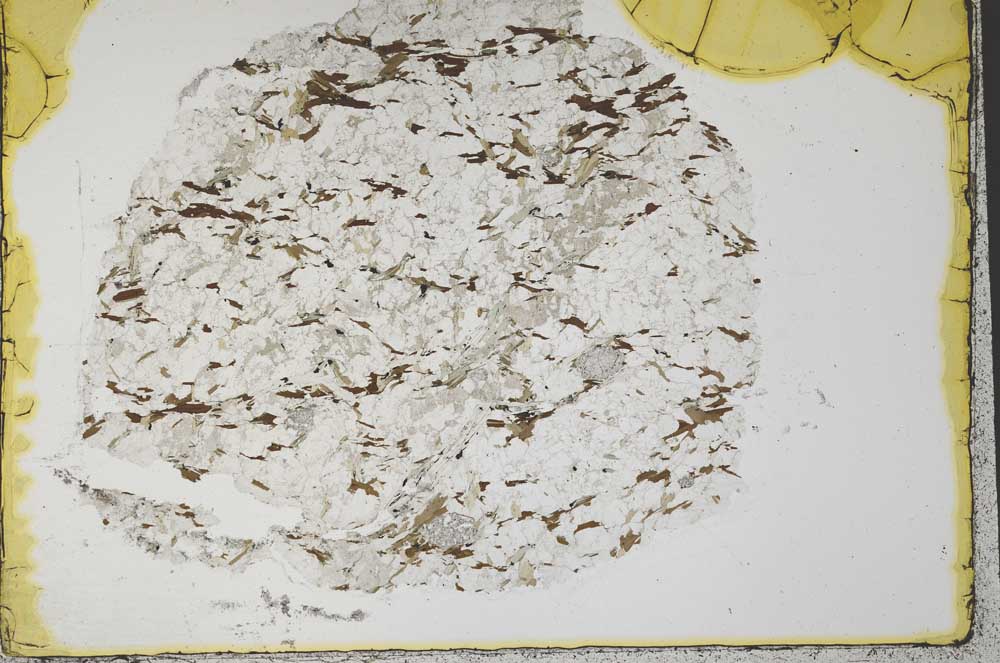 Plane Polarized, S33344