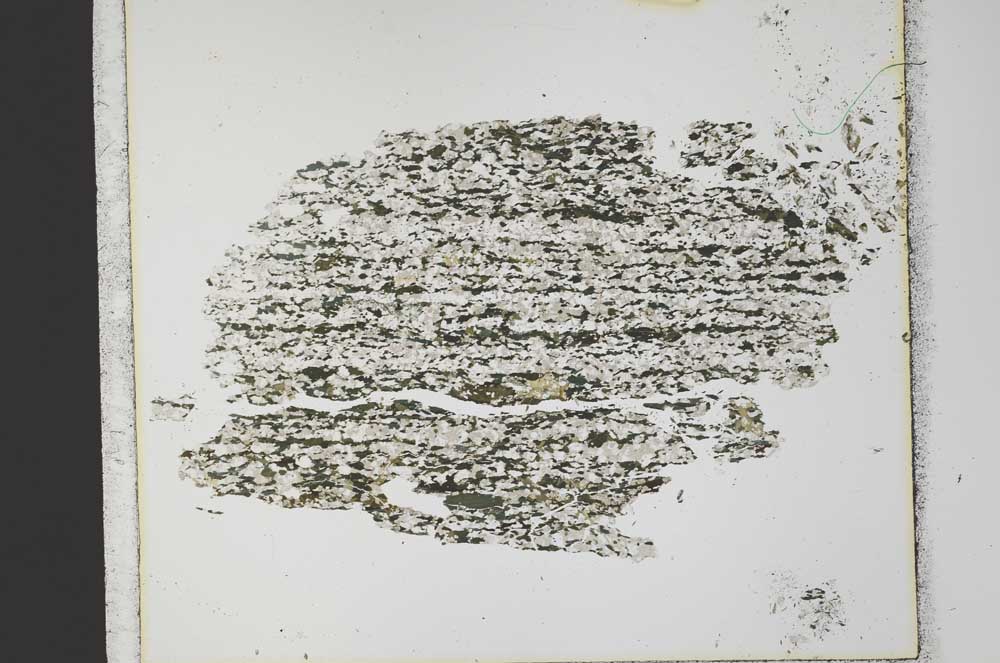 Plane Polarized, S33361