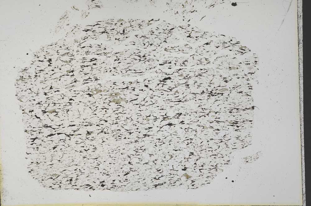 Plane Polarized, S33362