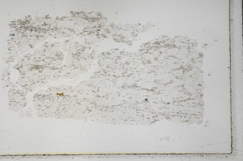 Plane Polarized, S33378