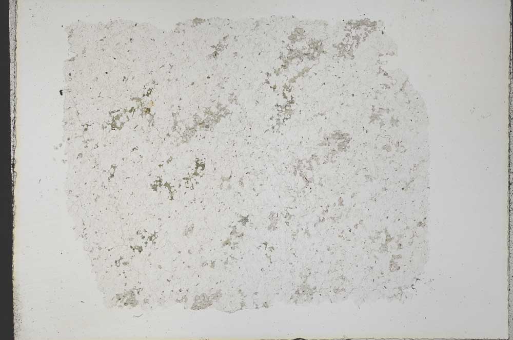Plane Polarized, S33381