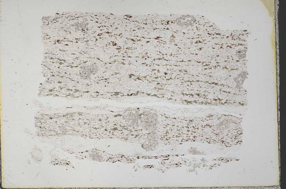 Plane Polarized, S33388