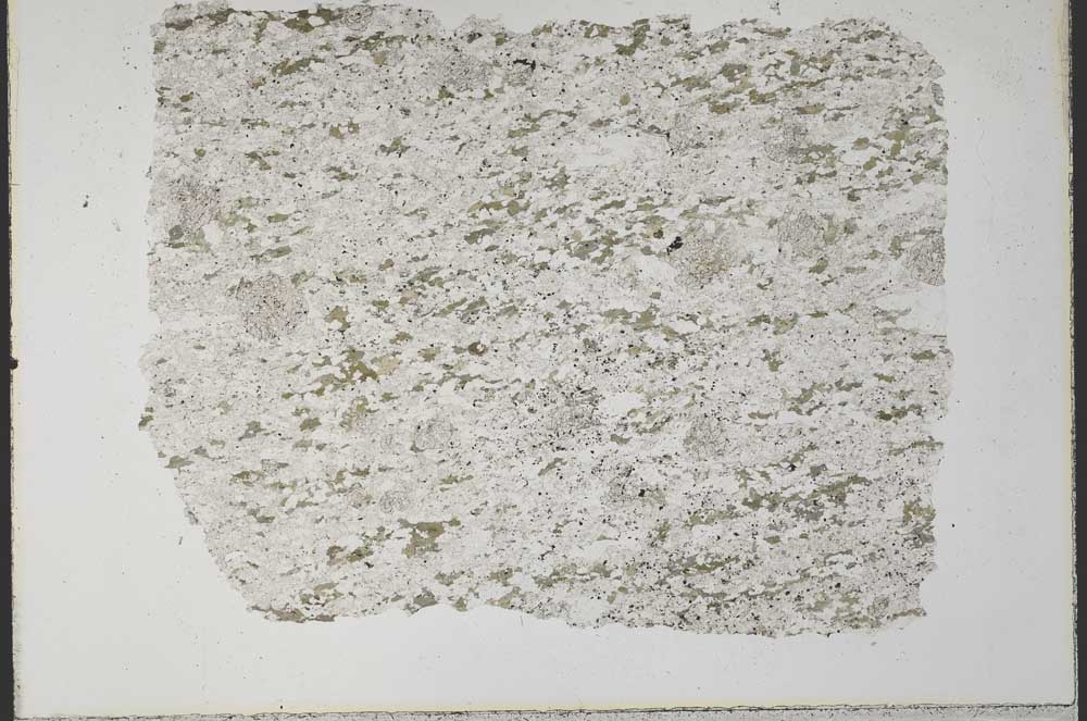 Plane Polarized, S33391