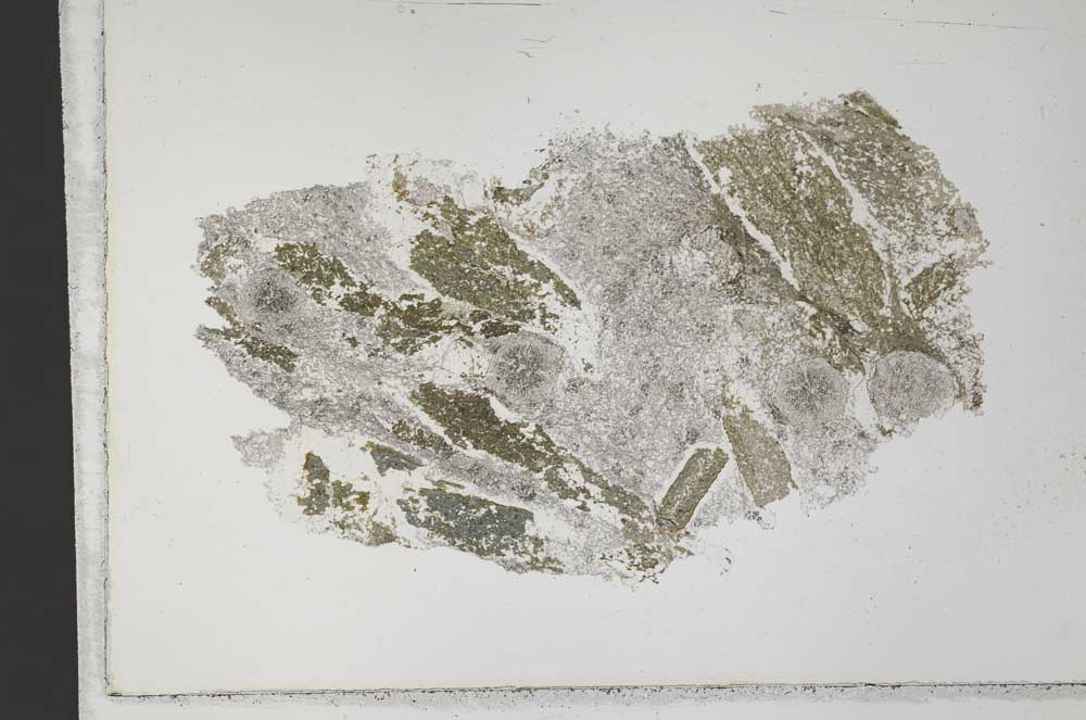 Plane Polarized, S33392