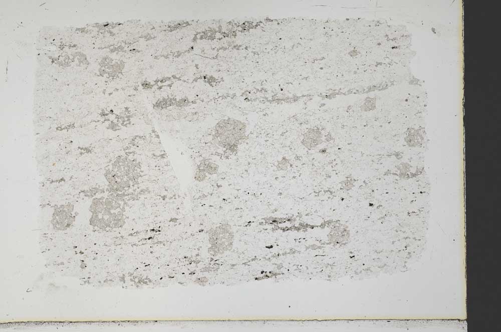 Plane Polarized, S33396