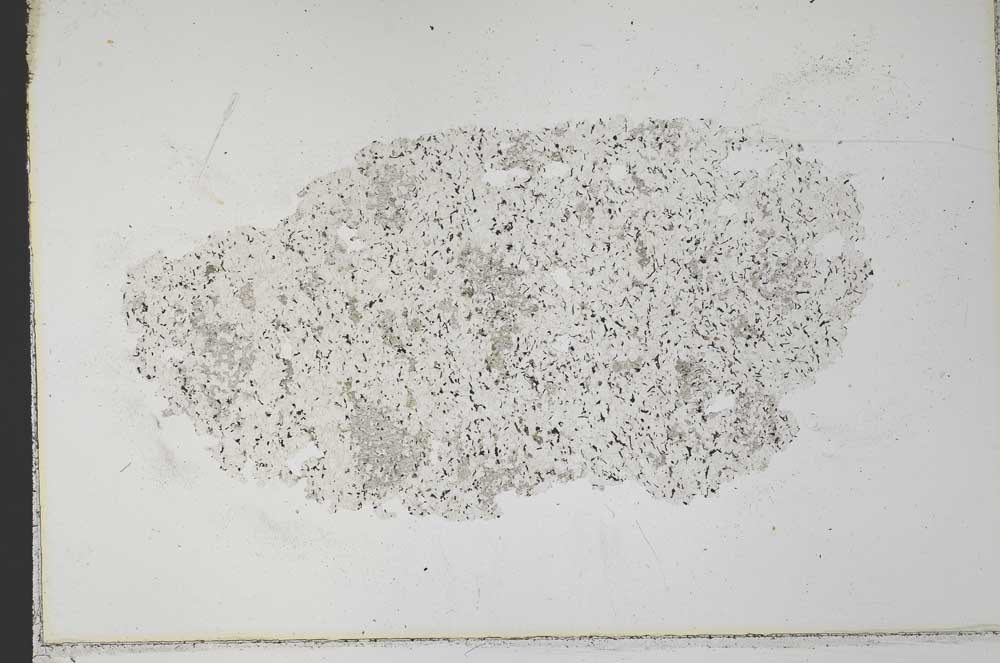 Plane Polarized, S33398