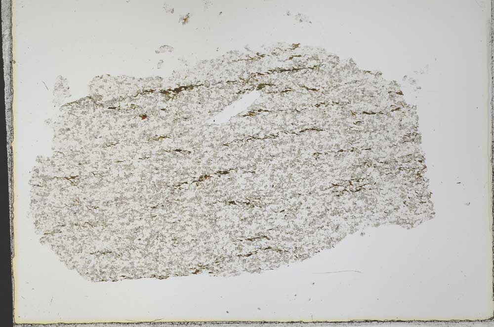 Plane Polarized, S33414