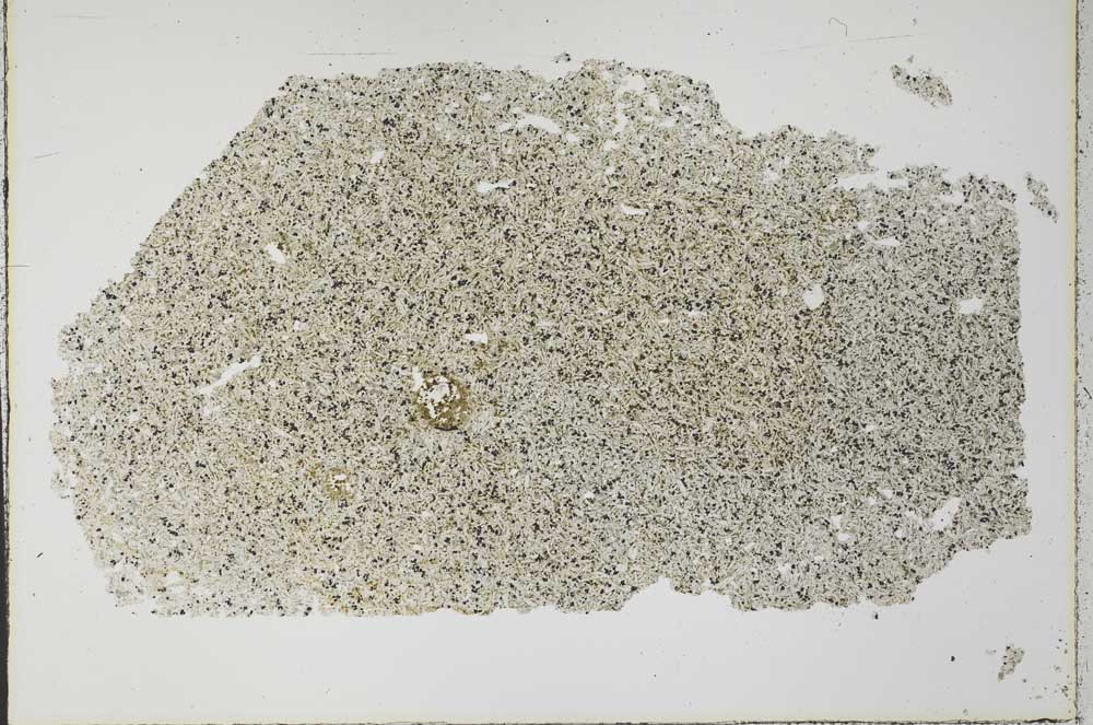 Plane Polarized, S33423