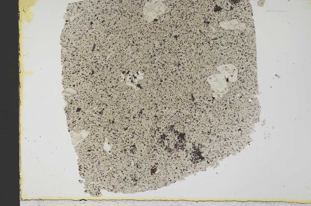 Plane Polarized, S33460