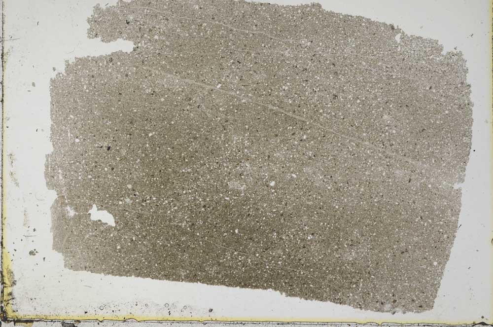 Plane Polarized, S33545